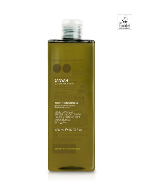 ANYAH LIQUID SOAP 480 ml SPENDER